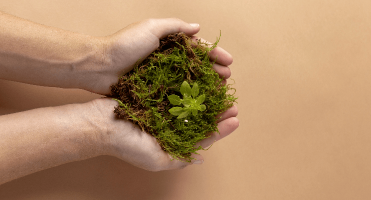 growing-life-concept-with-flowers